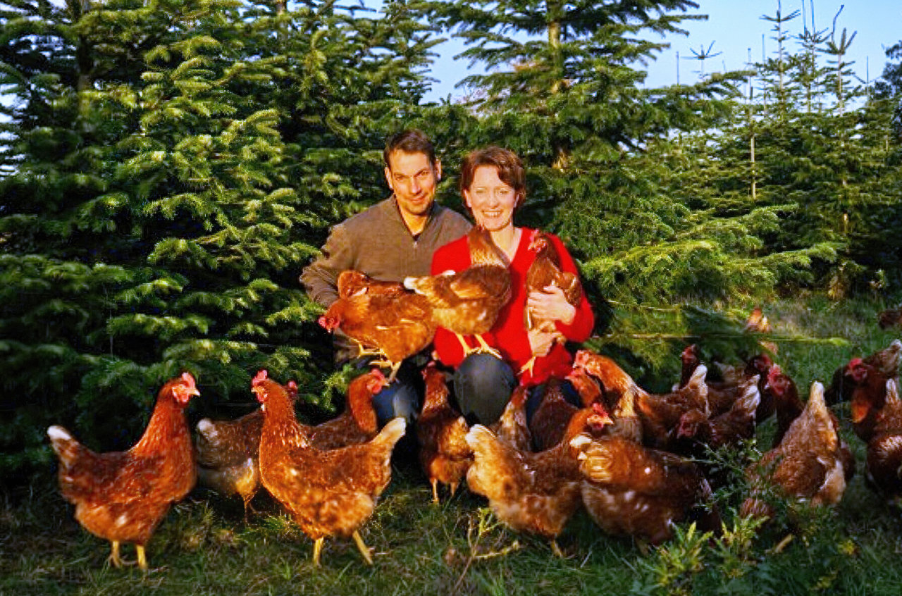 Familie Lienemann sitzt hinter Hühnern.
